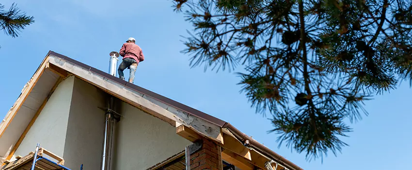 Birds Removal Contractors from Chimney in Clarksburg, WV